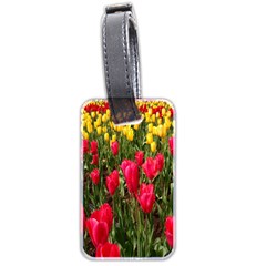 Yellow Pink Red Flowers Luggage Tag (two Sides) by artworkshop