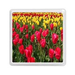 Yellow Pink Red Flowers Memory Card Reader (square) by artworkshop