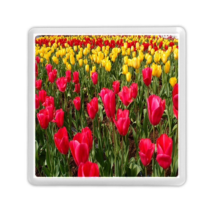 Yellow Pink Red Flowers Memory Card Reader (Square)