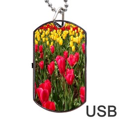 Yellow Pink Red Flowers Dog Tag Usb Flash (one Side) by artworkshop