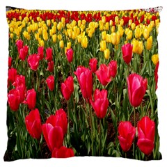 Yellow Pink Red Flowers Standard Premium Plush Fleece Cushion Case (one Side) by artworkshop