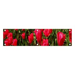 Yellow Pink Red Flowers Banner And Sign 4  X 1  by artworkshop