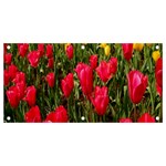 Yellow Pink Red Flowers Banner and Sign 4  x 2  Front