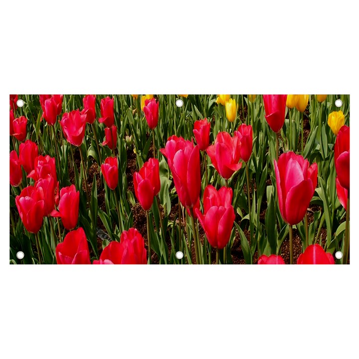 Yellow Pink Red Flowers Banner and Sign 4  x 2 