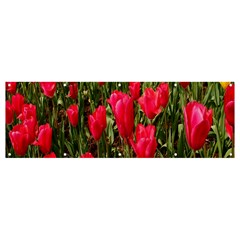 Yellow Pink Red Flowers Banner And Sign 12  X 4 