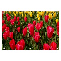 Yellow Pink Red Flowers Banner And Sign 6  X 4 