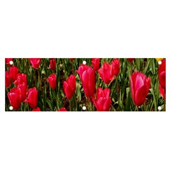 Yellow Pink Red Flowers Banner And Sign 6  X 2  by artworkshop