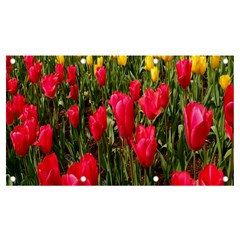 Yellow Pink Red Flowers Banner And Sign 7  X 4  by artworkshop