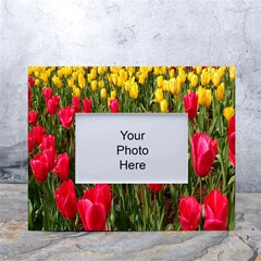 Yellow Pink Red Flowers White Tabletop Photo Frame 4 x6  by artworkshop