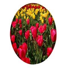 Yellow Pink Red Flowers Oval Glass Fridge Magnet (4 Pack) by artworkshop