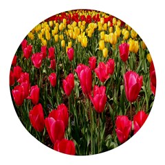 Yellow Pink Red Flowers Round Glass Fridge Magnet (4 Pack)