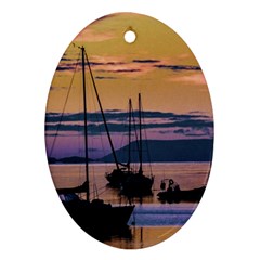 Twilight Over Ushuaia Port Ornament (oval) by dflcprintsclothing