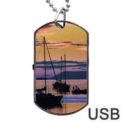 Twilight Over Ushuaia Port Dog Tag Usb Flash (one Side) by dflcprintsclothing