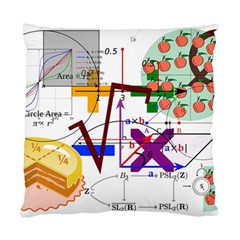 Mathematics Formula Physics School Standard Cushion Case (two Sides) by Grandong