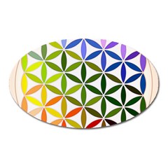 Mandala Rainbow Colorful Oval Magnet