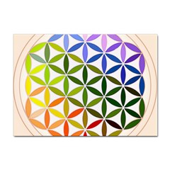 Mandala Rainbow Colorful Sticker A4 (100 Pack) by Grandong