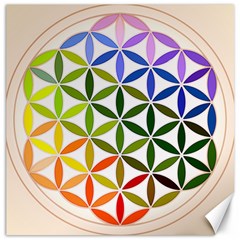 Mandala Rainbow Colorful Canvas 20  x 20 