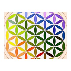 Mandala Rainbow Colorful Two Sides Premium Plush Fleece Blanket (Mini)