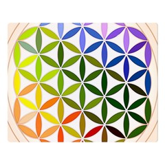 Mandala Rainbow Colorful Two Sides Premium Plush Fleece Blanket (Large)