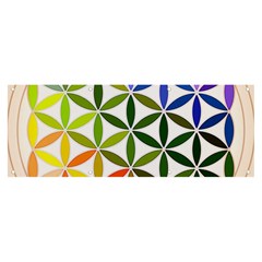 Mandala Rainbow Colorful Banner and Sign 8  x 3 