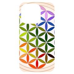 Mandala Rainbow Colorful iPhone 14 Pro Black UV Print Case