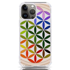 Mandala Rainbow Colorful Iphone 13 Pro Max Tpu Uv Print Case