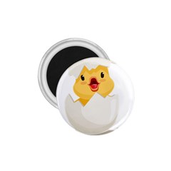 Cute Chick 1 75  Magnets