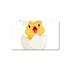 Cute Chick Magnet (name Card)