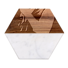 Moosewala Marble Wood Coaster (hexagon)  by Mayank