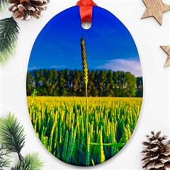 Different Grain Growth Field Ornament (oval) by Ravend