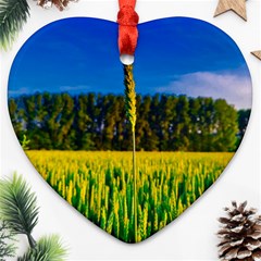 Different Grain Growth Field Ornament (heart) by Ravend