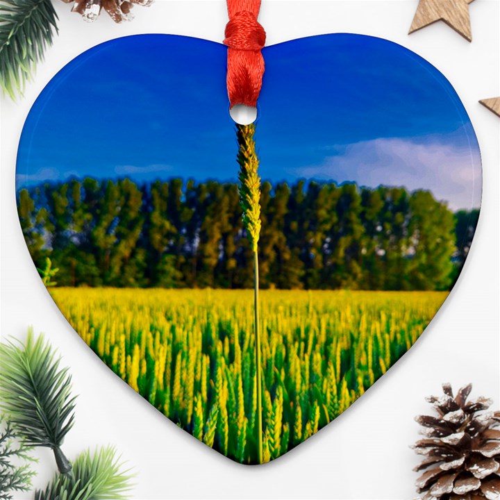 Different Grain Growth Field Ornament (Heart)