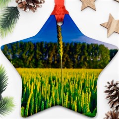 Different Grain Growth Field Ornament (star) by Ravend