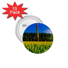 Different Grain Growth Field 1 75  Buttons (10 Pack) by Ravend