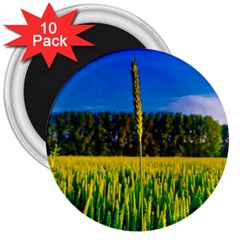 Different Grain Growth Field 3  Magnets (10 Pack)  by Ravend