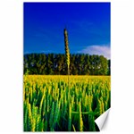 Different Grain Growth Field Canvas 24  x 36  23.35 x34.74  Canvas - 1