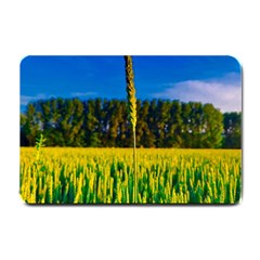 Different Grain Growth Field Small Doormat by Ravend