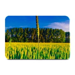 Different Grain Growth Field Plate Mats by Ravend