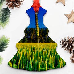 Different Grain Growth Field Ornament (christmas Tree)  by Ravend