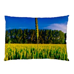 Different Grain Growth Field Pillow Case (two Sides) by Ravend