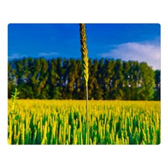 Different Grain Growth Field Two Sides Premium Plush Fleece Blanket (large) by Ravend