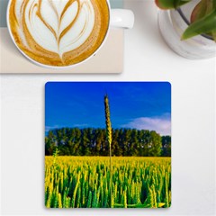 Different Grain Growth Field Uv Print Square Tile Coaster  by Ravend