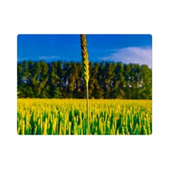 Different Grain Growth Field Premium Plush Fleece Blanket (mini) by Ravend