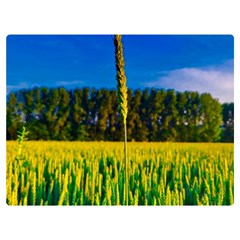 Different Grain Growth Field Premium Plush Fleece Blanket (extra Small) by Ravend