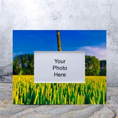 Different Grain Growth Field White Tabletop Photo Frame 4 x6  by Ravend