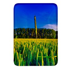 Different Grain Growth Field Rectangular Glass Fridge Magnet (4 Pack)