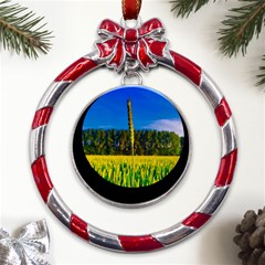 Different Grain Growth Field Metal Red Ribbon Round Ornament by Ravend