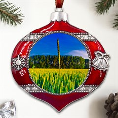 Different Grain Growth Field Metal Snowflake And Bell Red Ornament by Ravend