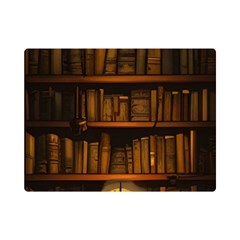 Books Library Premium Plush Fleece Blanket (mini) by uniart180623