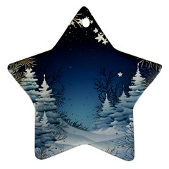 Christmas Night Winter Star Ornament (two Sides) by pakminggu